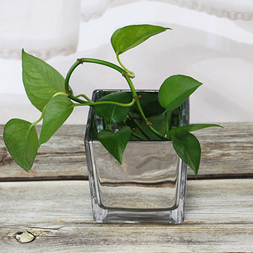 silver square glass vase